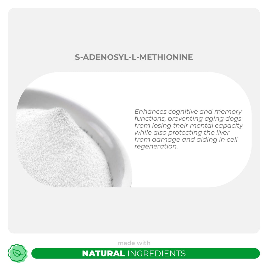 Milk Thistle and S-Adenosyl-L-Methionine Bundle C9068