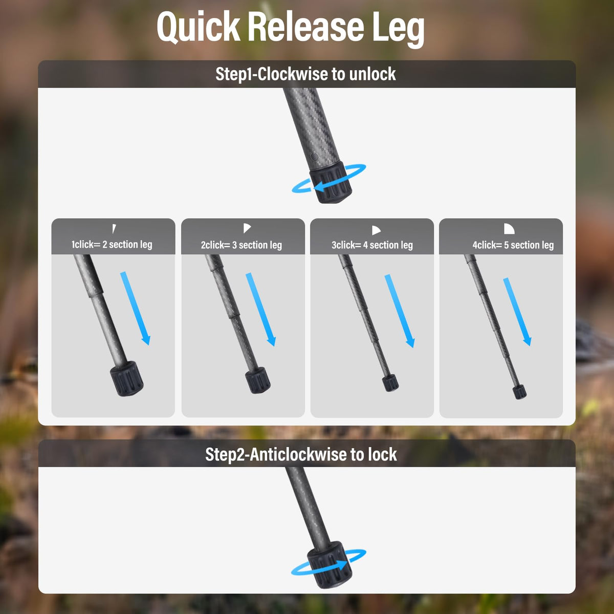 Carbon Fiber Tripod with Panoramic Fluid Head Q2785