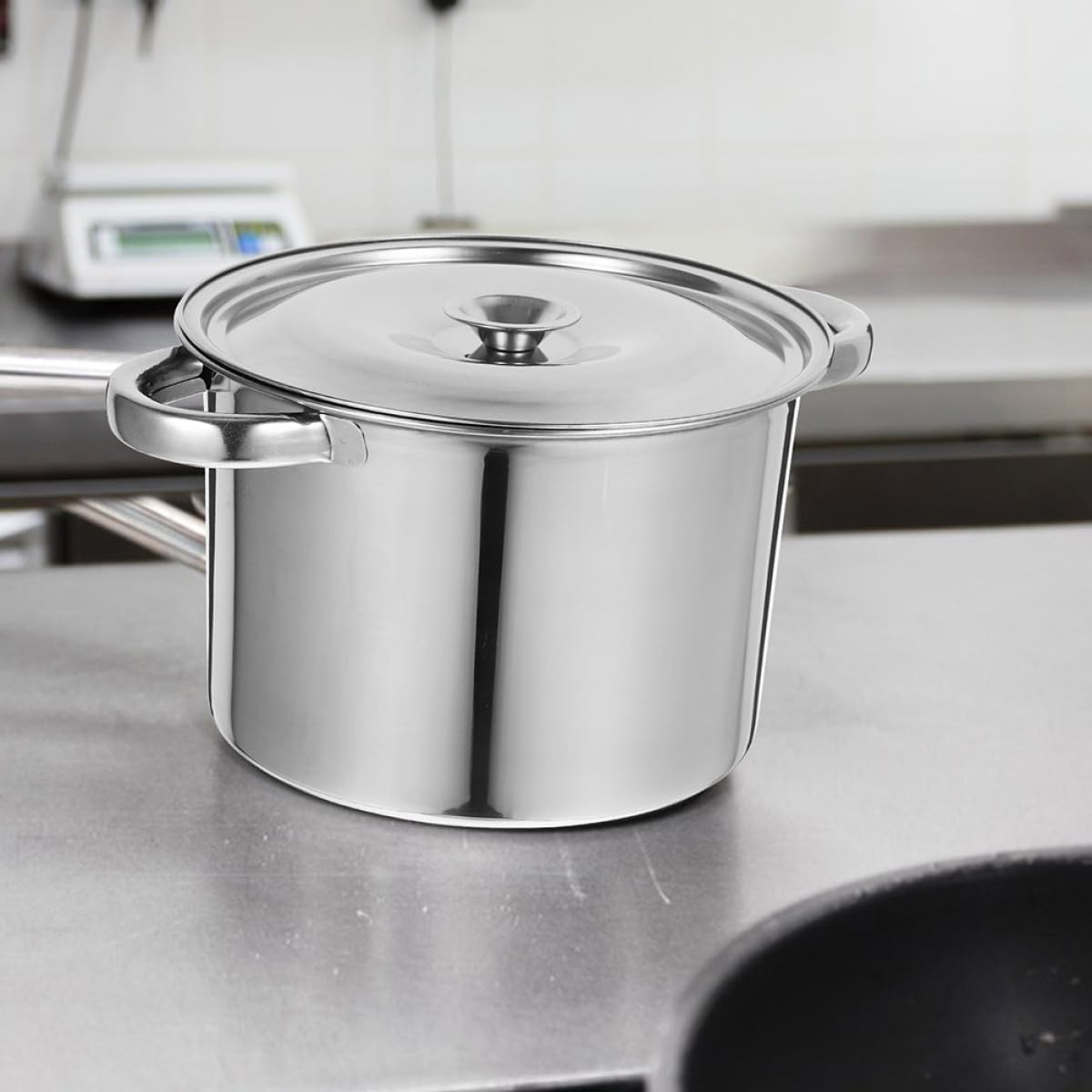 Stainless Steel Double Handle Stock Pot with Lid O8370