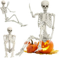 Life Size Full Body Skeleton Prop X36893