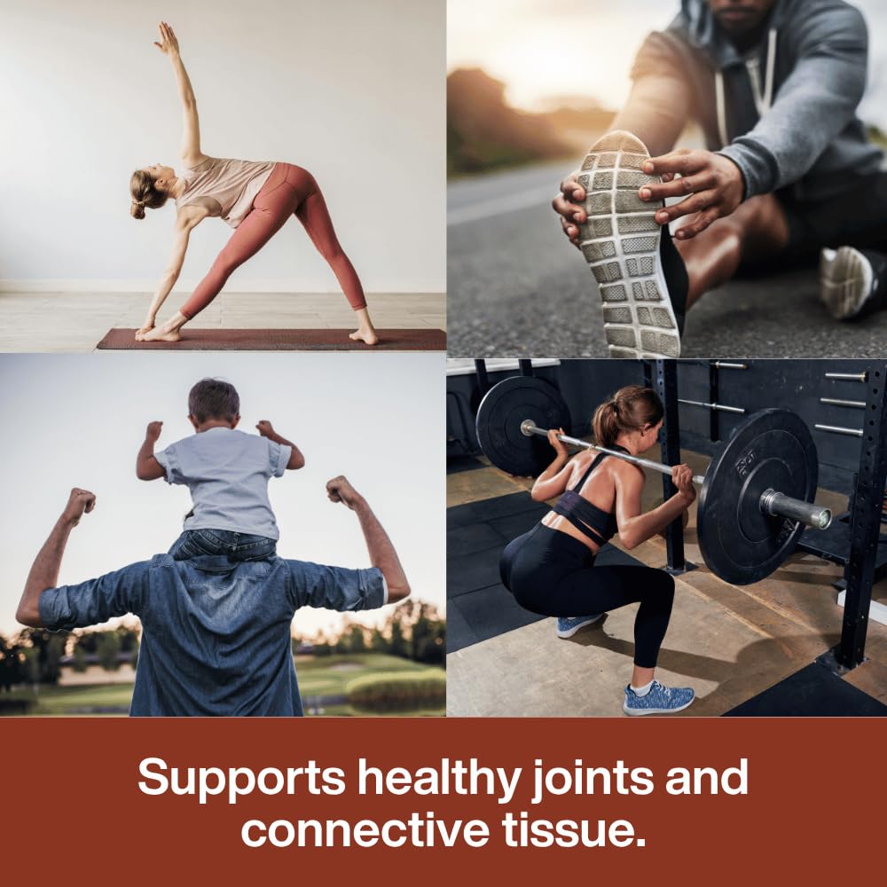 Unflavored Bone Broth Protein Powder D291