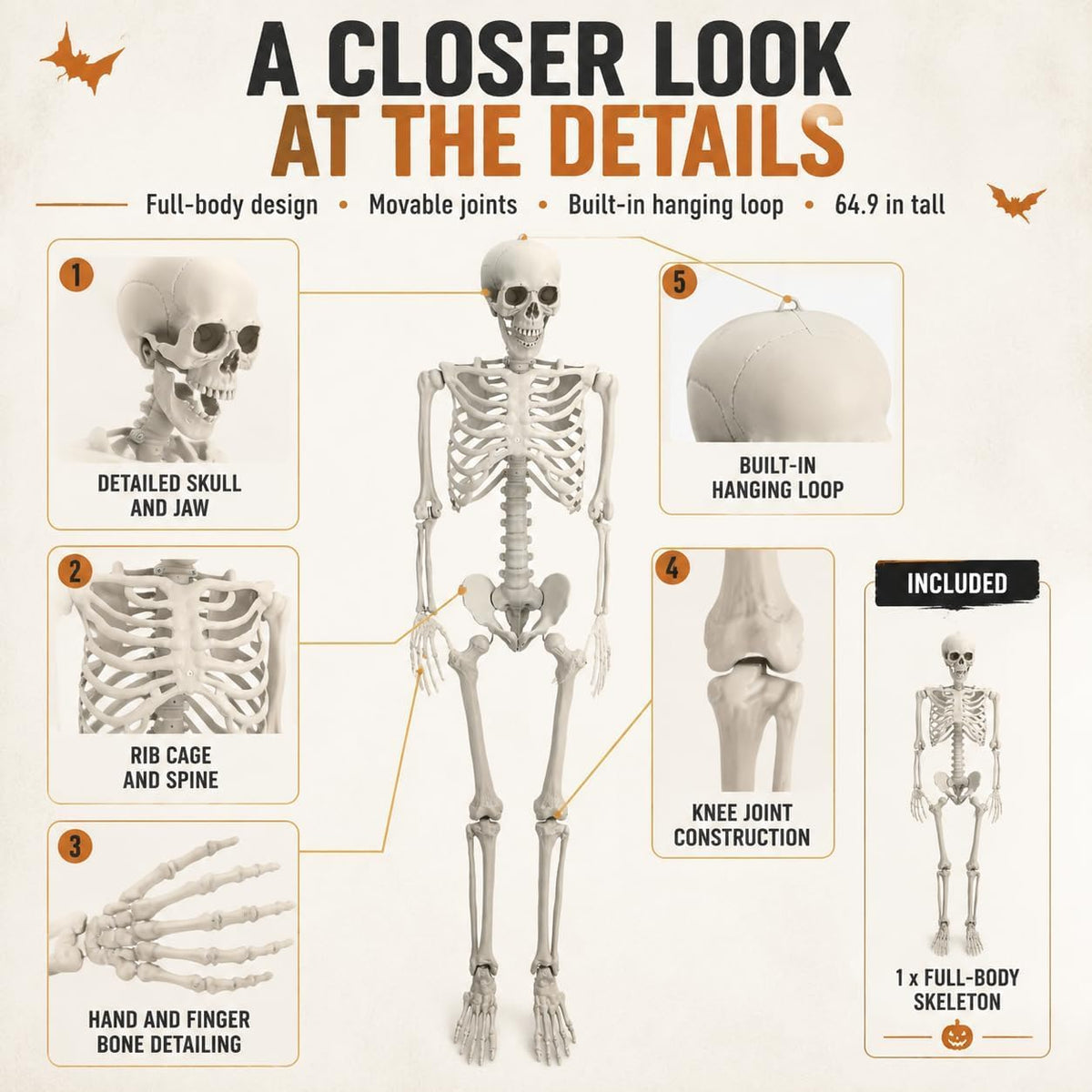 Life Size Posable Skeleton Prop Decoration N762751