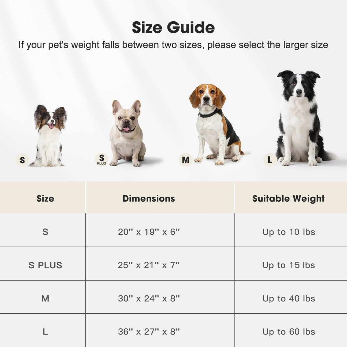 Medium Washable Dog Bed with Removable Cover F535044