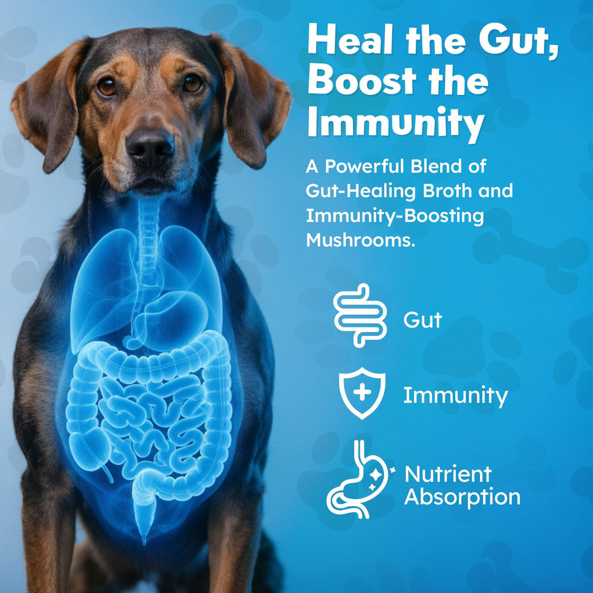 Beef Bone Broth Powder for Dogs E8014