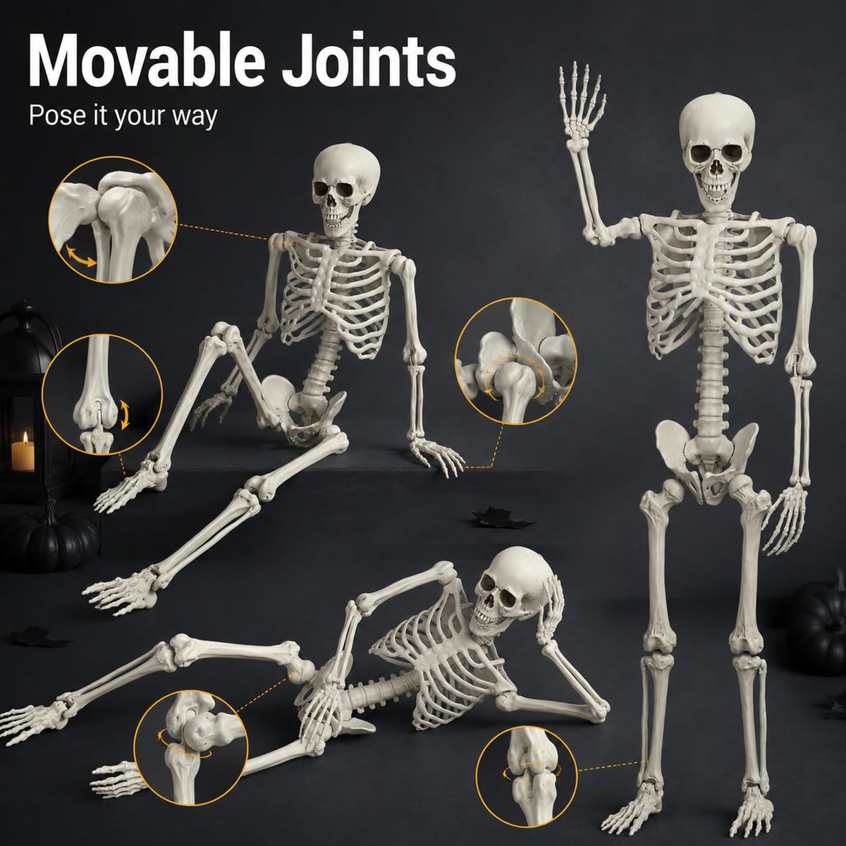 Life Size Full Body Skeleton Prop X36893