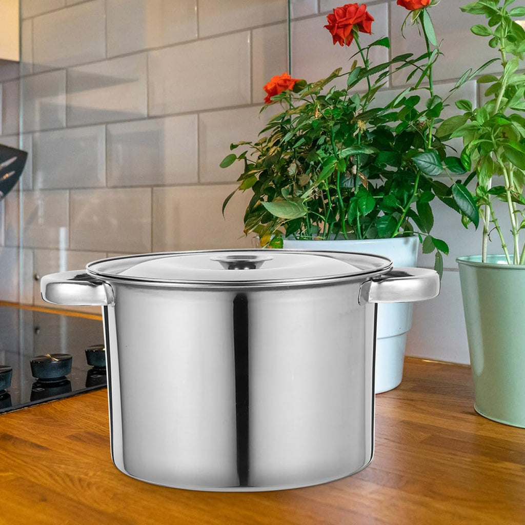 Stainless Steel Double Handle Stock Pot with Lid O8370