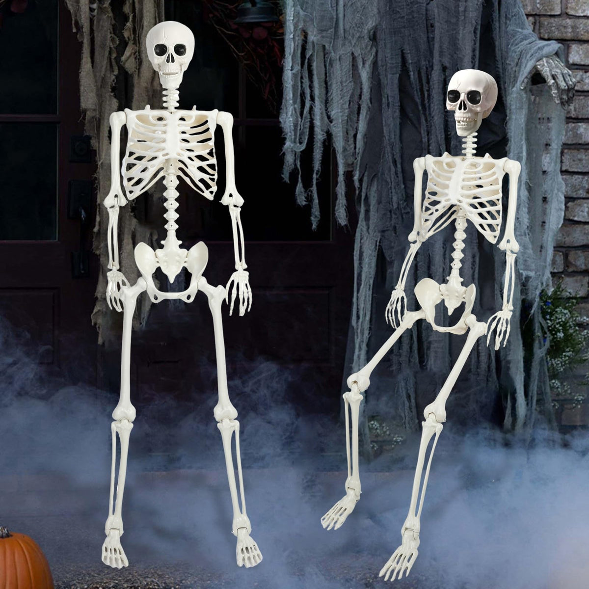 5.4Ft/165cm Life Size Skeleton with Movable Joints N116