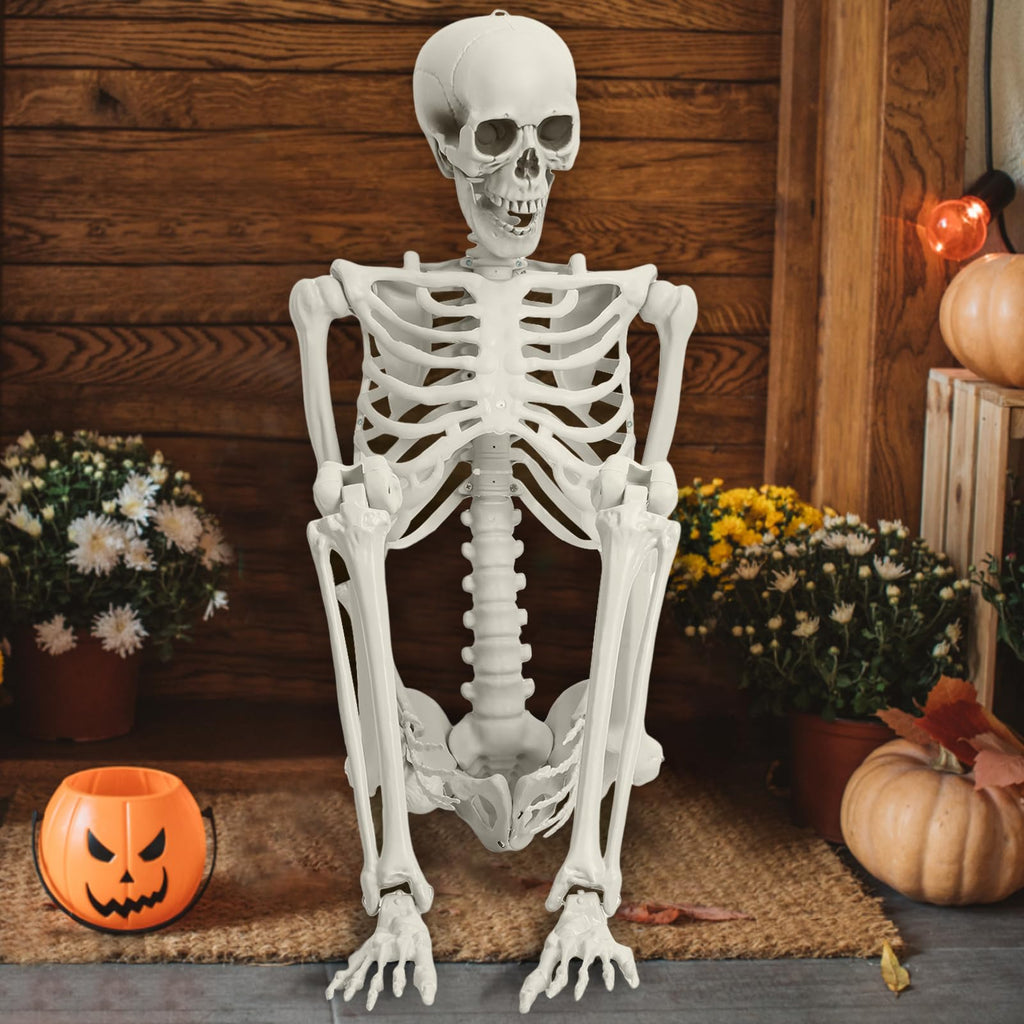 Life Size Full Body Skeleton Prop X36893