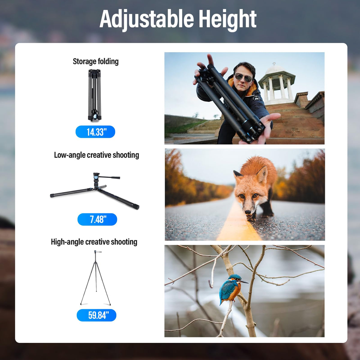 Carbon Fiber Tripod with Panoramic Fluid Head Q2785
