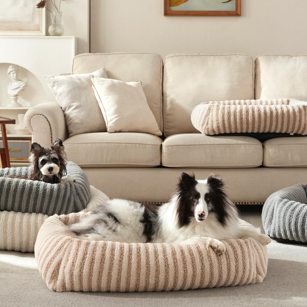 Medium Washable Dog Bed with Removable Cover F535044