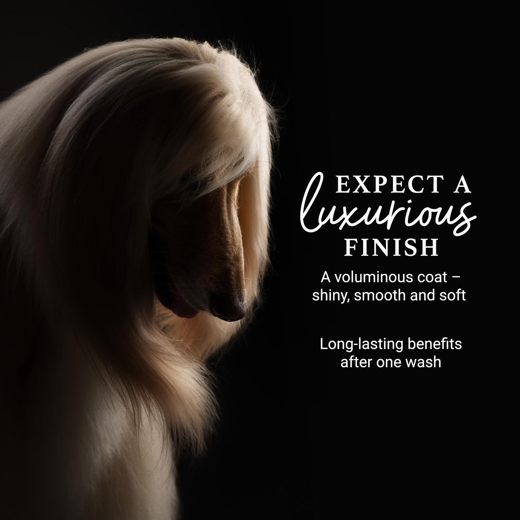 Deshedding & Detangling Dog Shampoo 1 GAL K589510