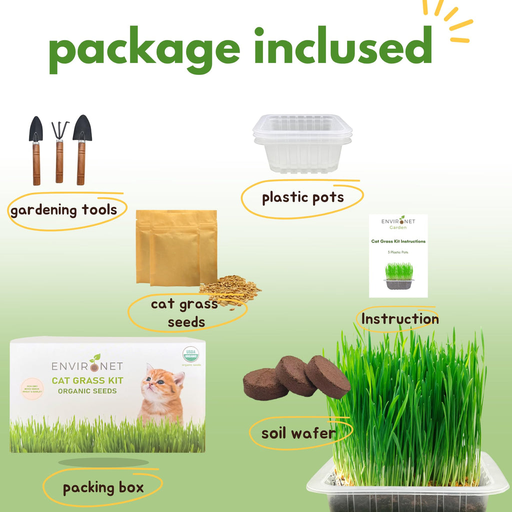 Organic Cat Grass Growing Kit with Seeds Soil and Planting Tools 3-Pack Plastic Pots W61111