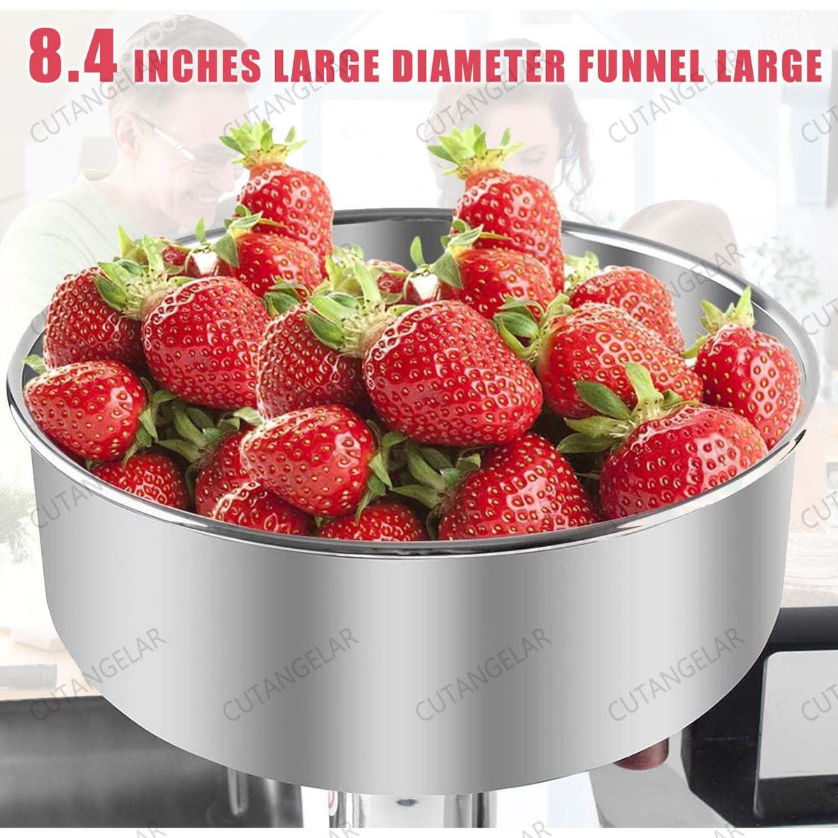 450W Stainless Steel Electric Sauce Strainer C402693
