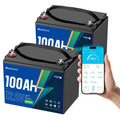 12V 100Ah LiFePO4 Battery 2 Pack T3776