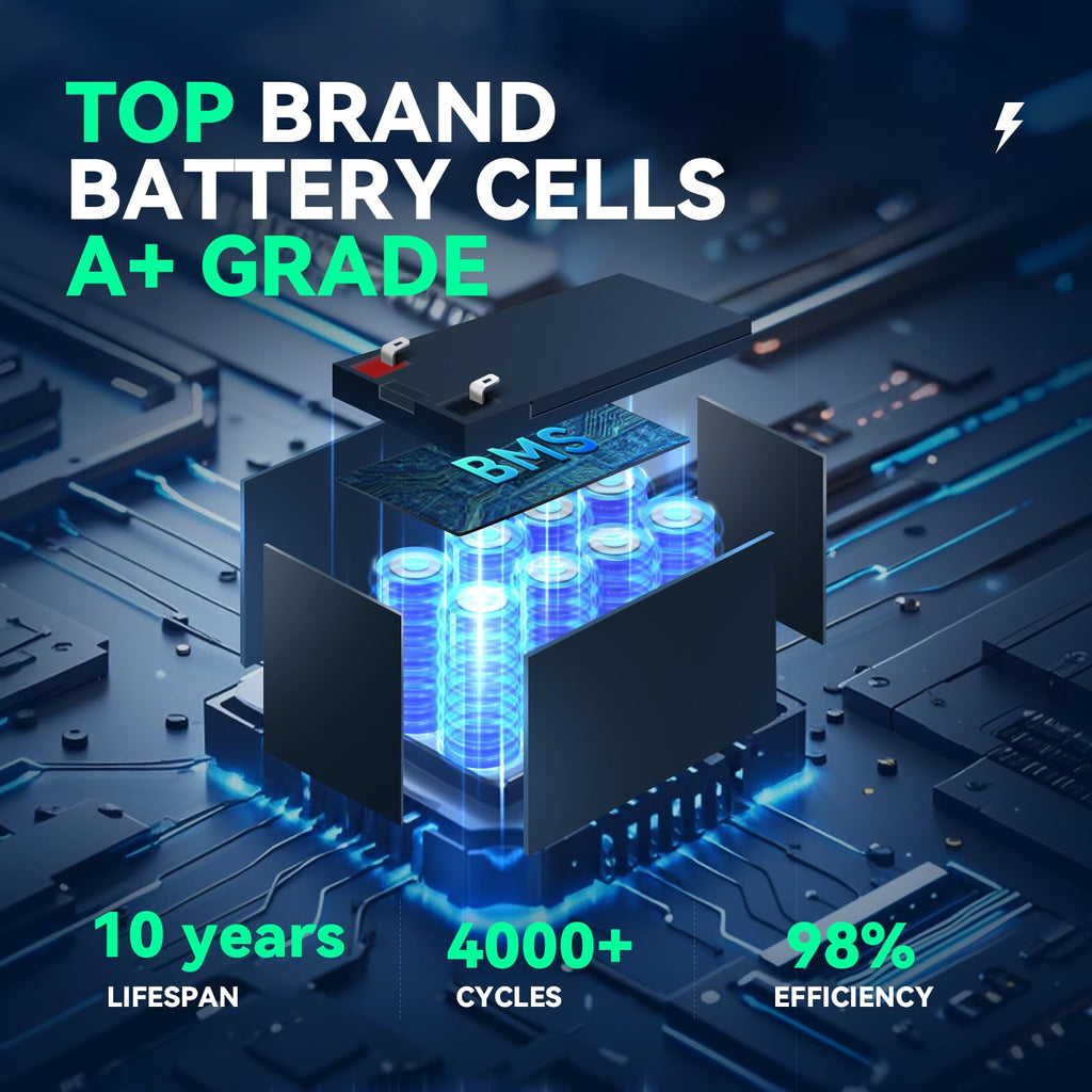12V 100Ah LiFePO4 Battery 2 Pack T3776