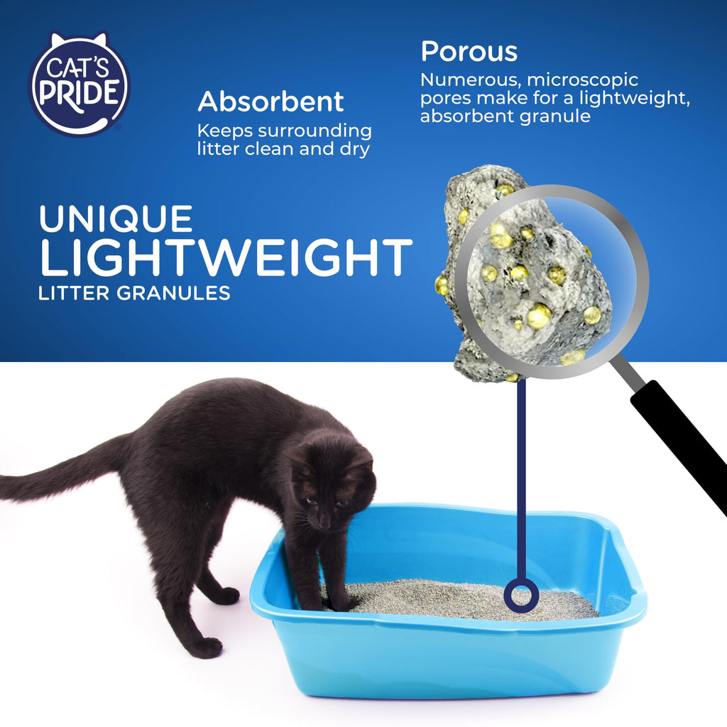 Lightweight Hypoallergenic Clumping Litter 10lb D152