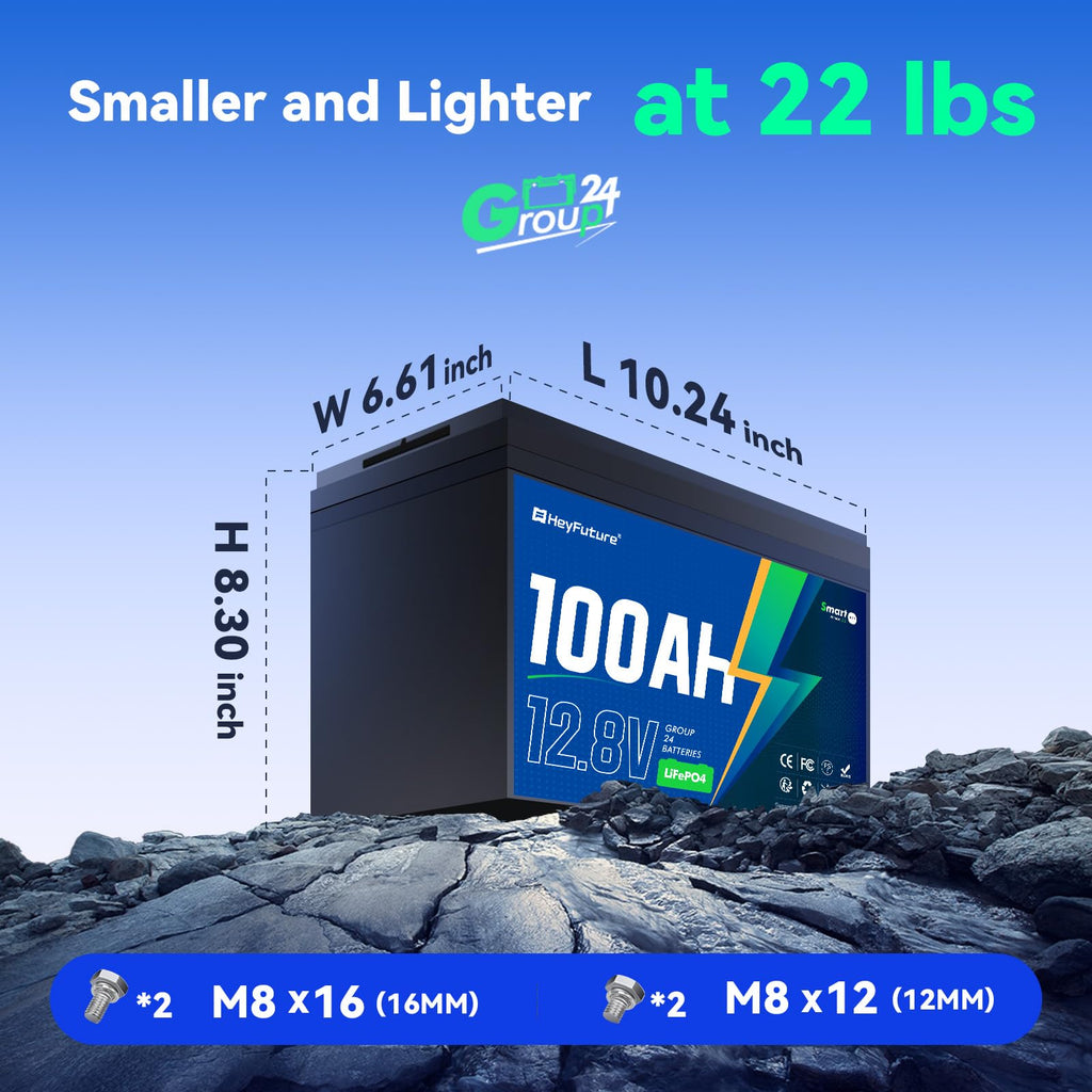 12V 100Ah LiFePO4 Battery 2 Pack T3776