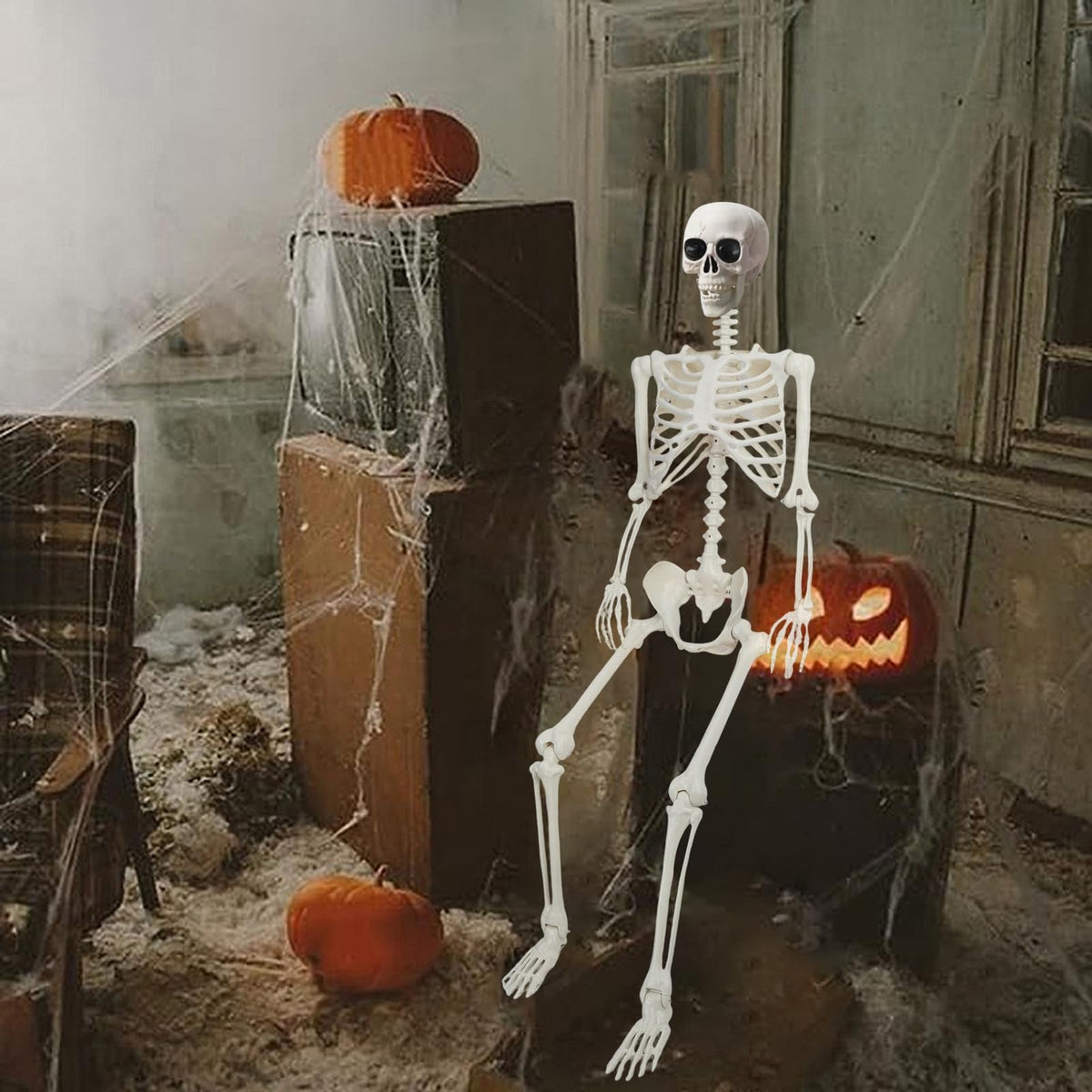 5.4Ft/165cm Life Size Skeleton with Movable Joints N116