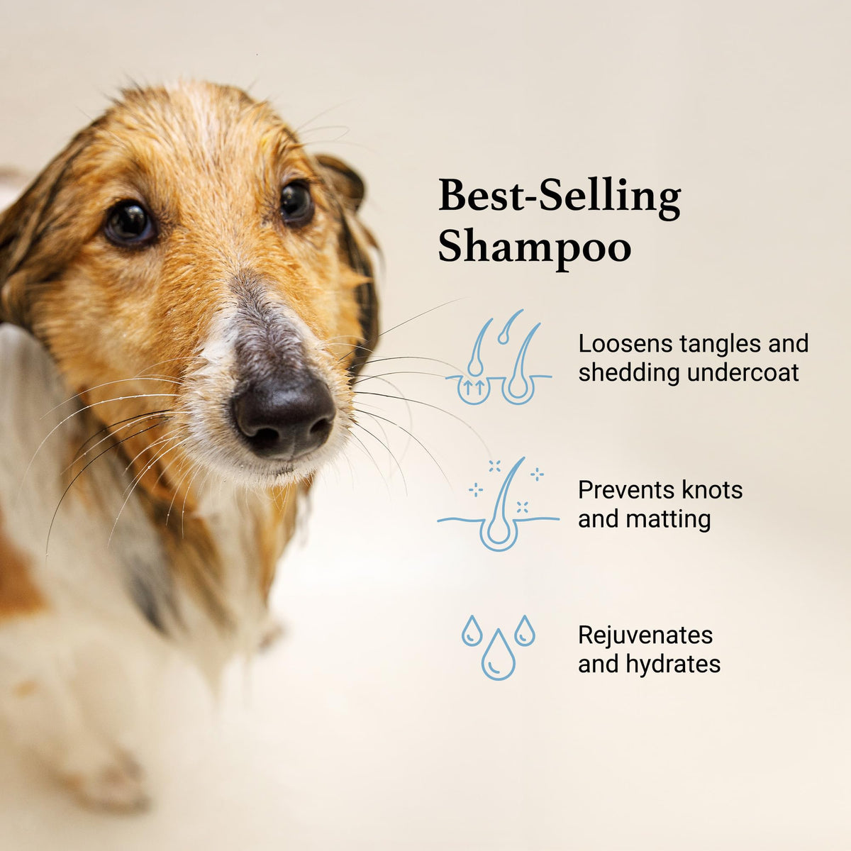 Deshedding & Detangling Dog Shampoo 1 GAL K589510
