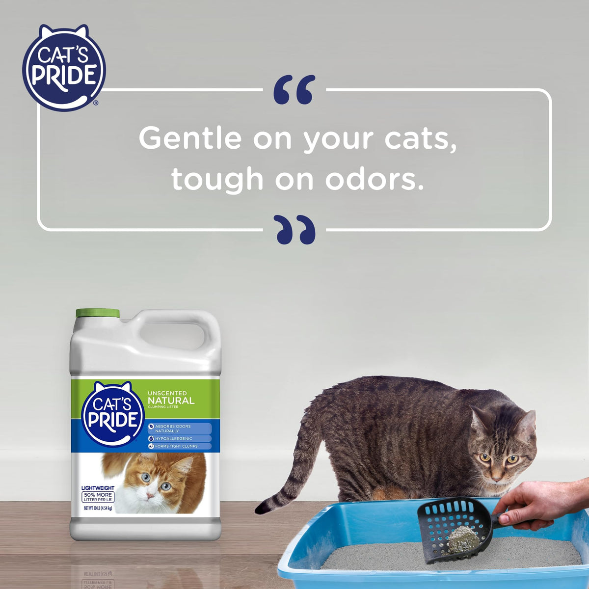 Lightweight Hypoallergenic Clumping Litter 10lb D152