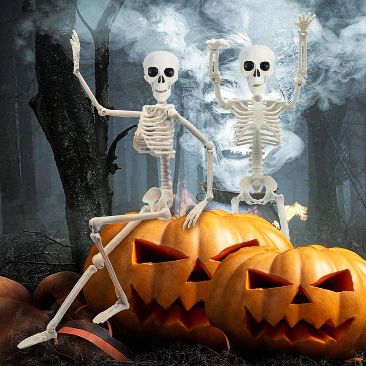 5.4Ft/165cm Life Size Skeleton with Movable Joints N116