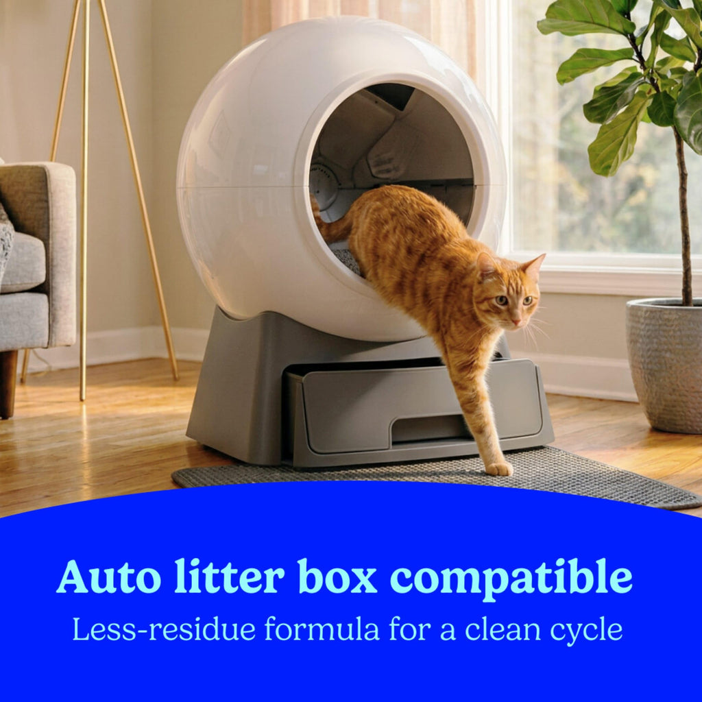 Unscented Multi Cat Clumping Cat Litter, 18.5 lb D959722