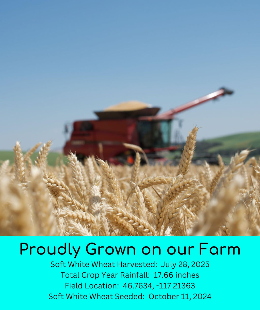 Soft White Wheat Berries 5 lbs E418492