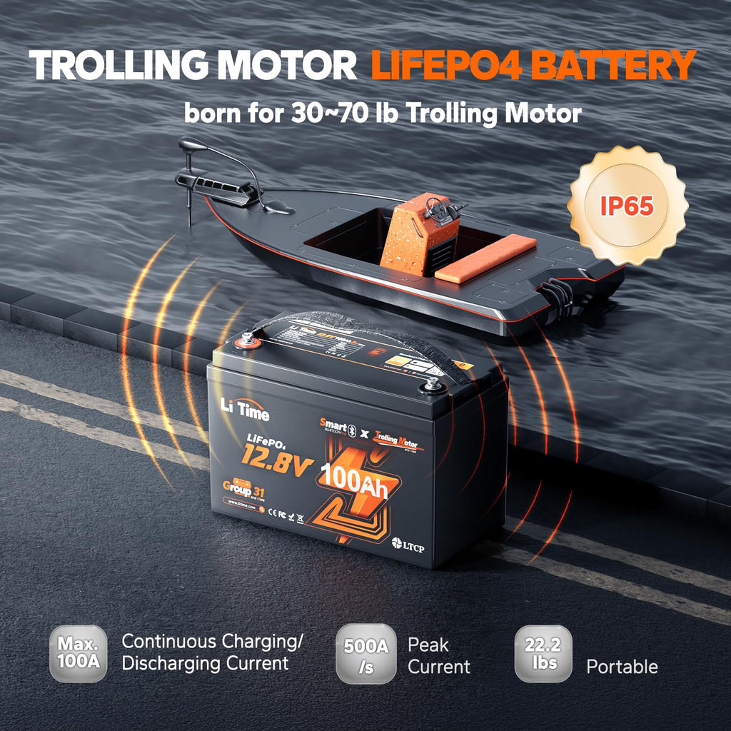 12V 100Ah LiFePO4 Battery with Charger N5364