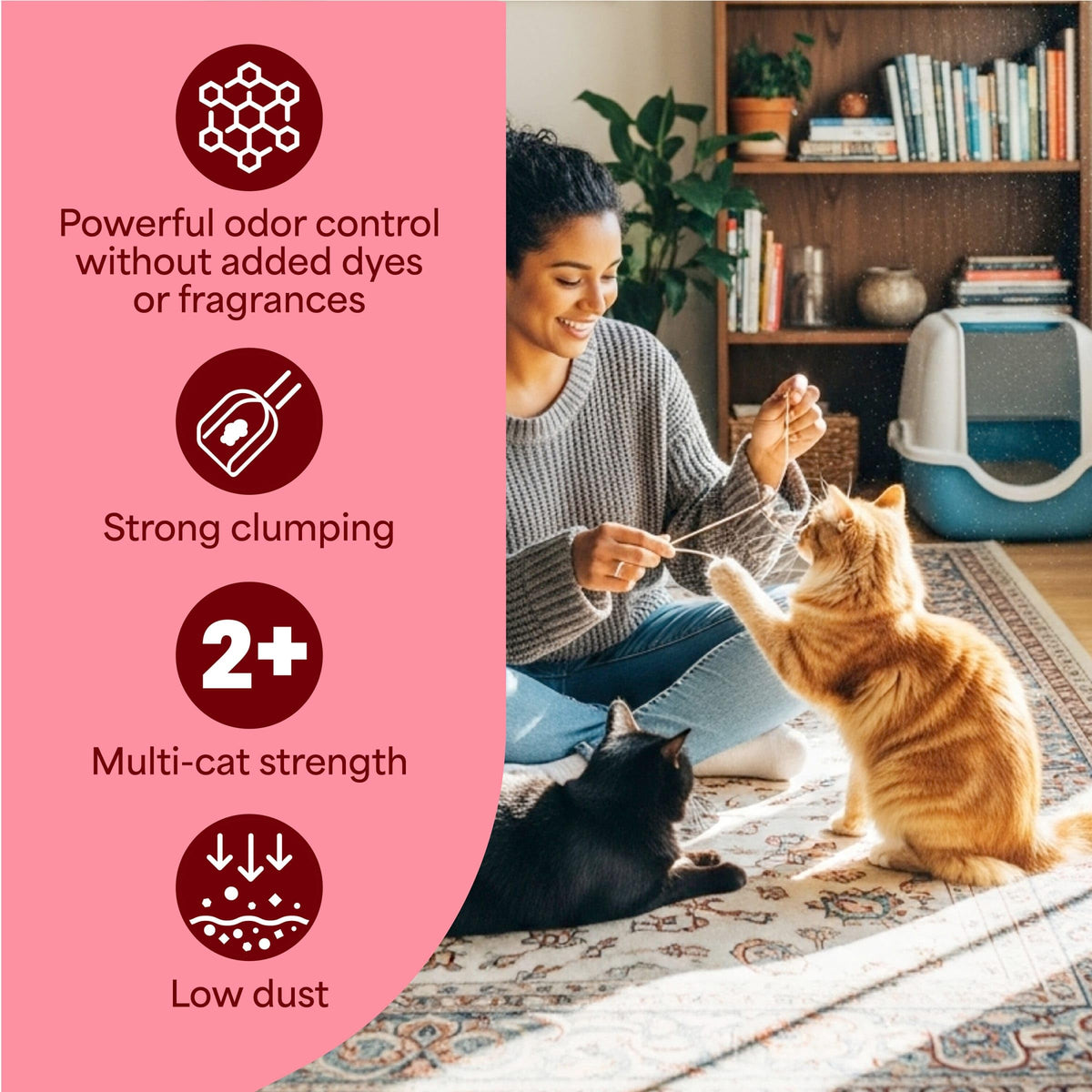 Unscented Multi Cat Clumping Cat Litter, 18.5 lb D959722