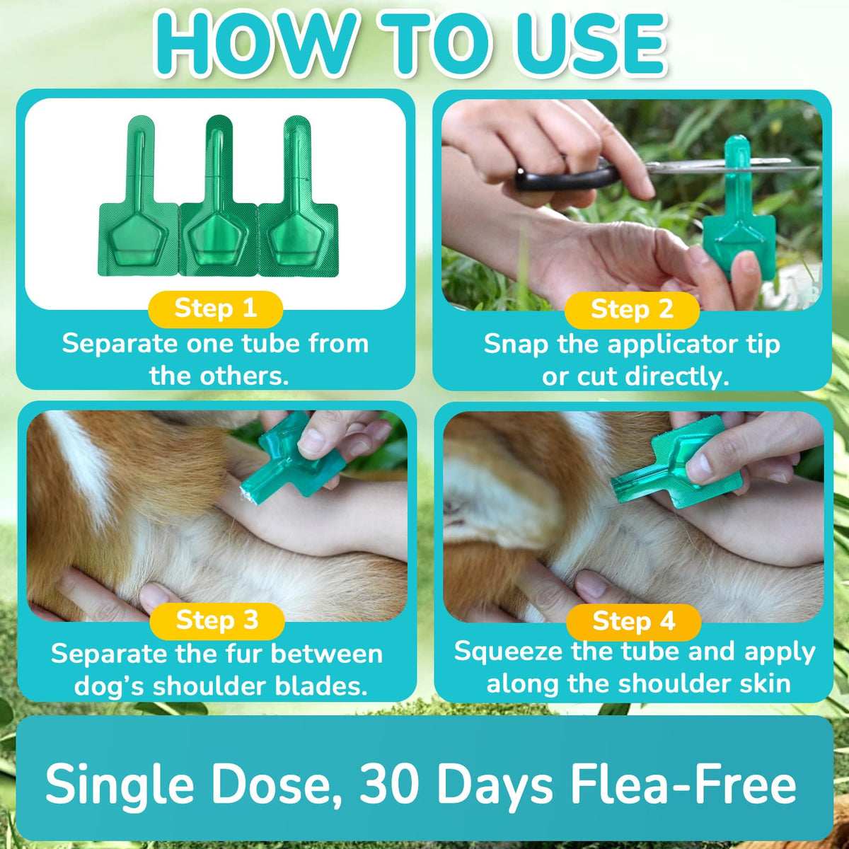 Flea and Tick Prevention for Medium Dogs Z566482