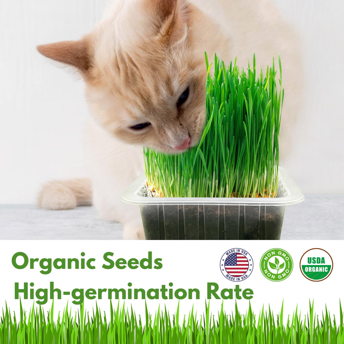 Organic Cat Grass Growing Kit with Seeds Soil and Planting Tools 3-Pack Plastic Pots W61111