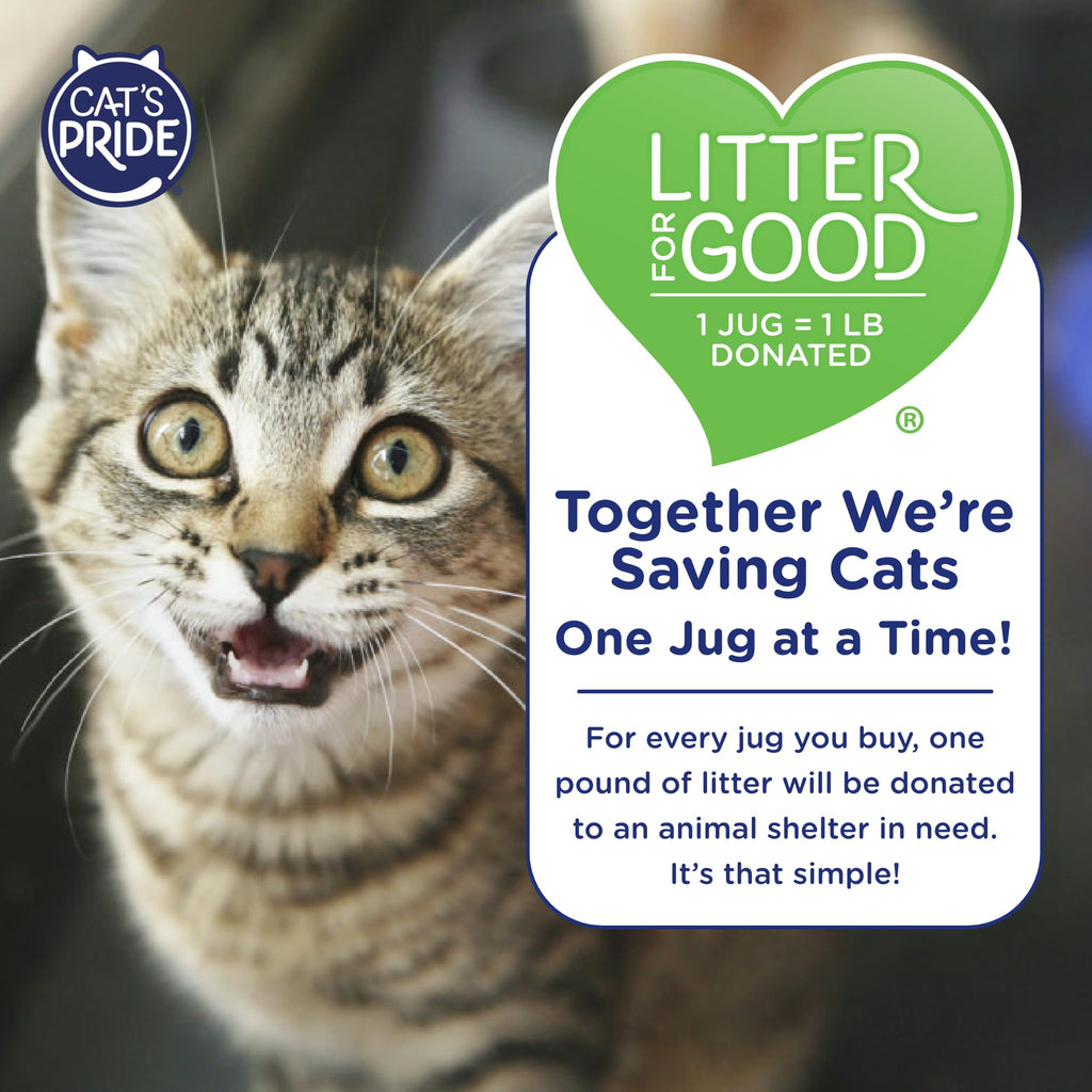 Lightweight Hypoallergenic Clumping Litter 10lb D152