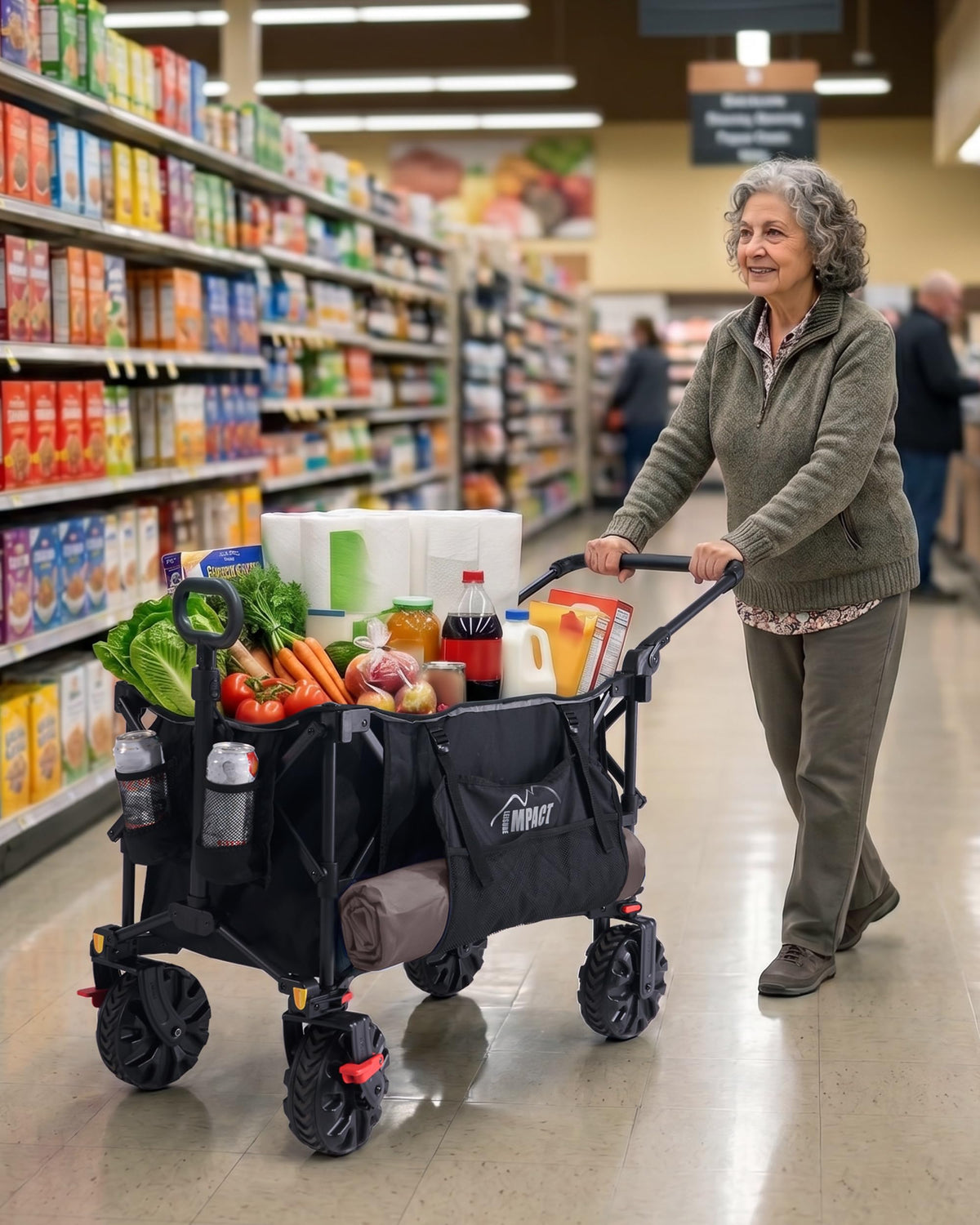 Foldable Push Wagon with Canopy H21686