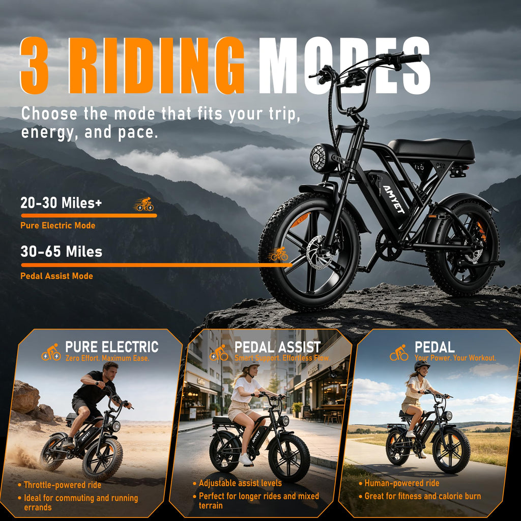 20'' Fat Tire Electric Bike U5237