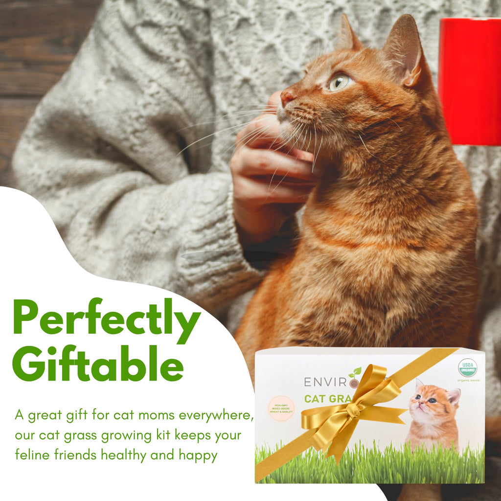Organic Cat Grass Growing Kit with Seeds Soil and Planting Tools 3-Pack Plastic Pots W61111