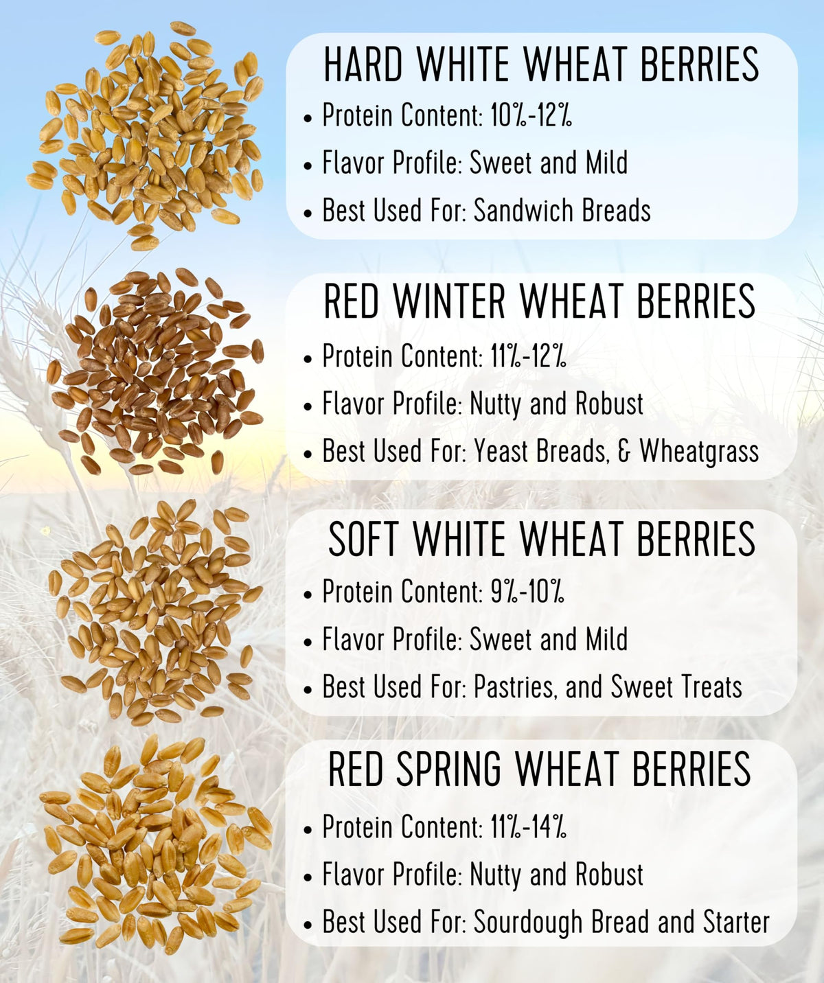 Soft White Wheat Berries 5 lbs E418492