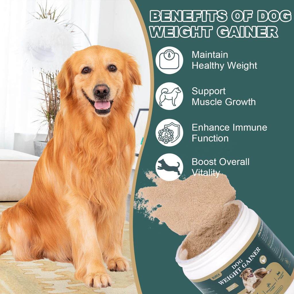 High Calorie Dog Weight Gainer Supplements with Multivitamins, Chicken Liver Flavor, 4oz O9896