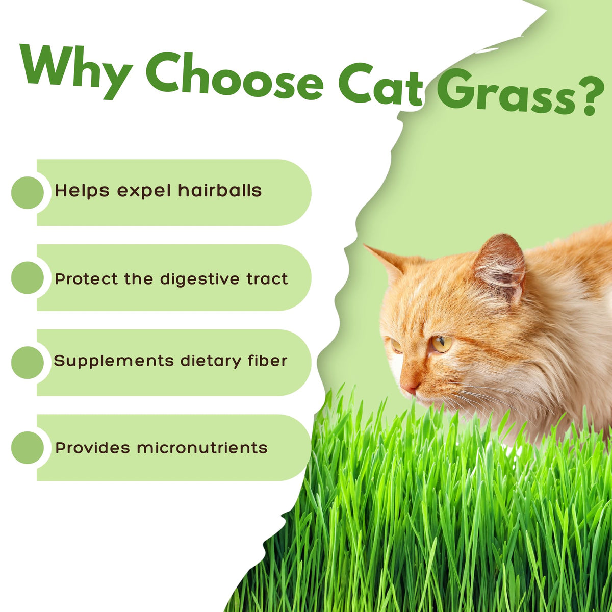 Organic Cat Grass Growing Kit with Seeds Soil and Planting Tools 3-Pack Plastic Pots W61111