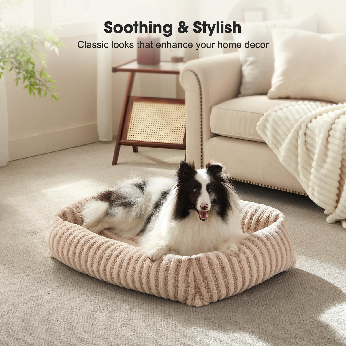 Medium Washable Dog Bed with Removable Cover F535044