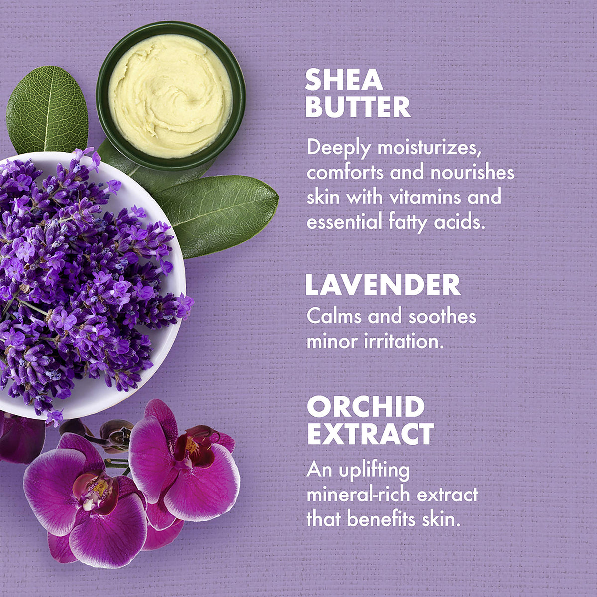 Lavender Wild Orchid Calming Bath Body Massage Oil 8 oz E82936