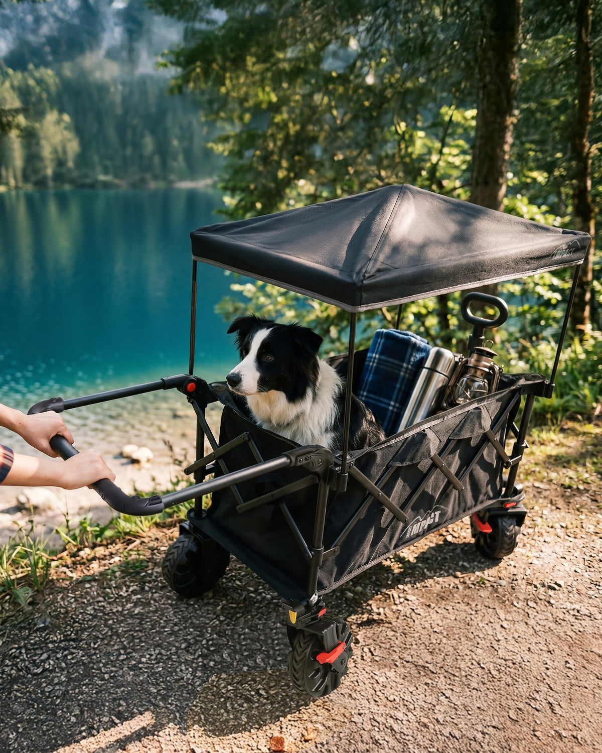 Foldable Push Wagon with Canopy H21686