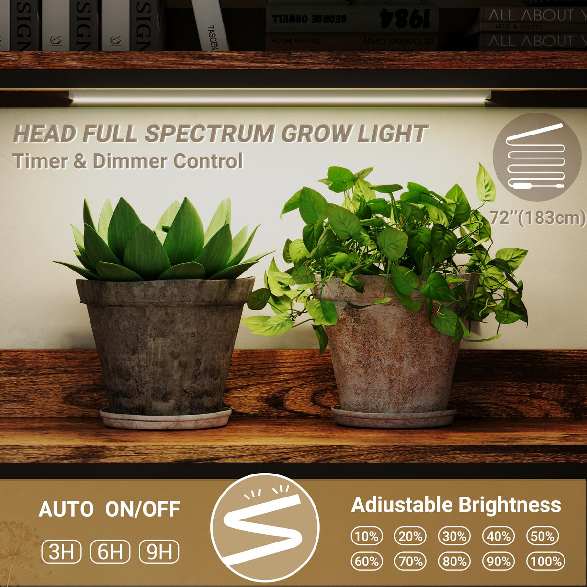L Shaped 5 Tier Corner Bookshelf with Light A580