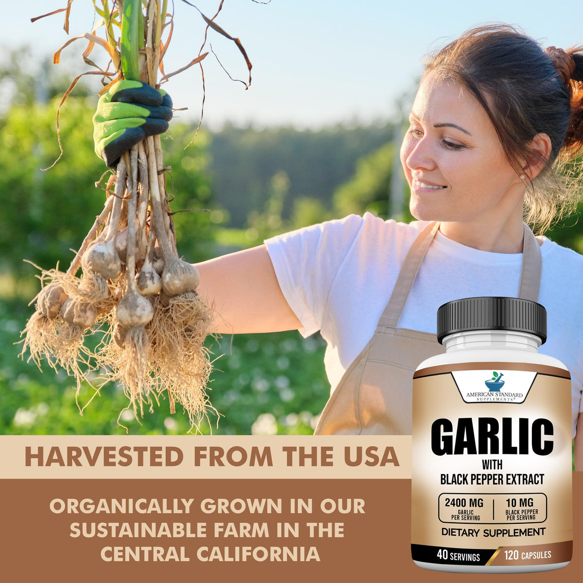 Garlic 2400mg with Black Pepper Fruit Extract 120 Capsules G511157
