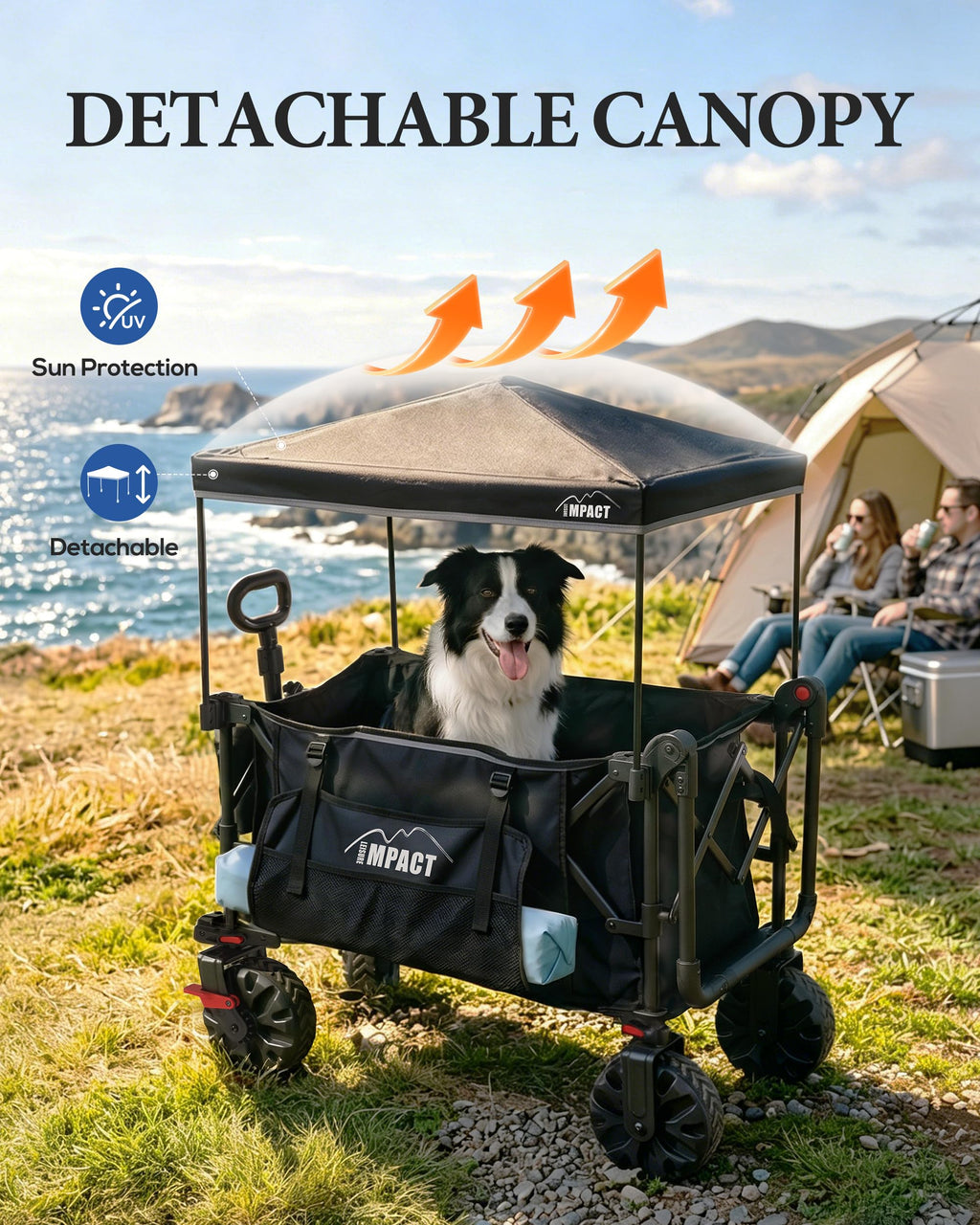 Foldable Push Wagon with Canopy H21686
