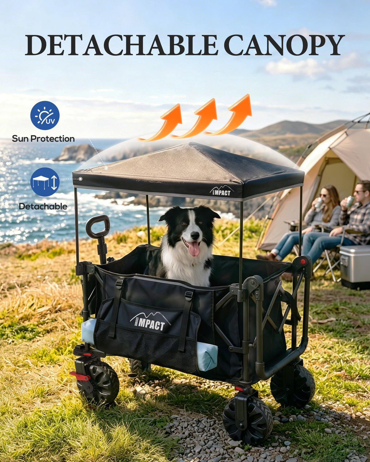 Foldable Push Wagon with Canopy H21686
