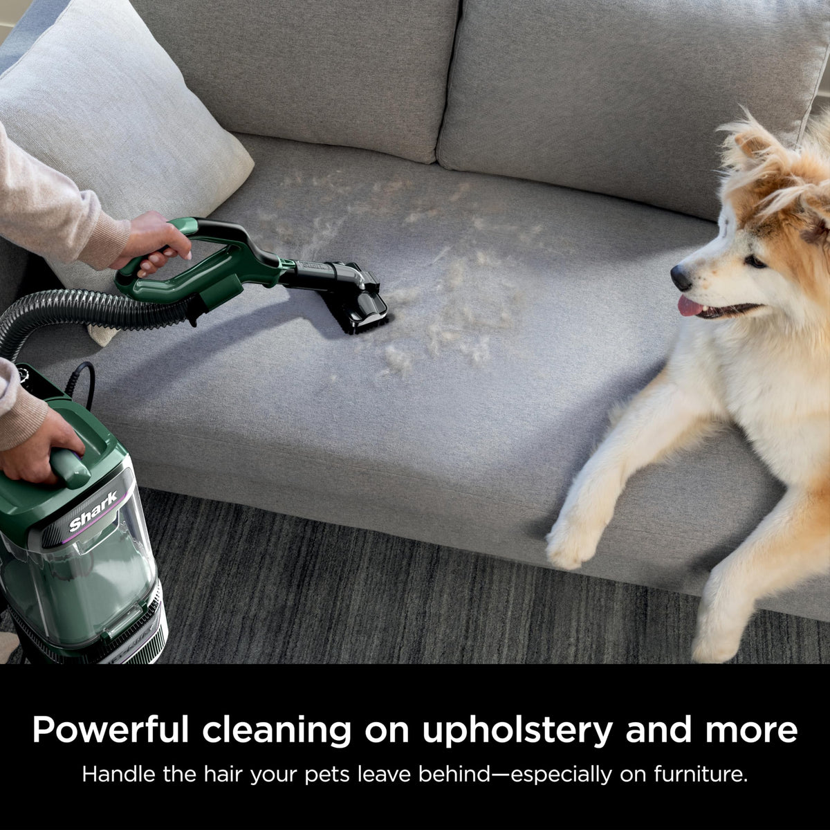 Evergreen Cordless Vacuum K7625